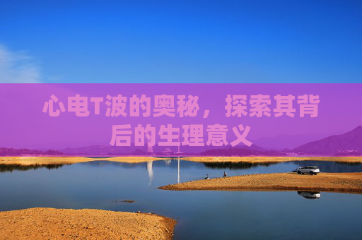心电T波的奥秘，探索其背后的生理意义