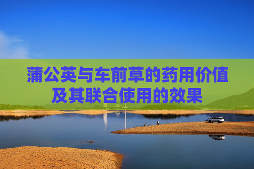 蒲公英与车前草的药用价值及其联合使用的效果