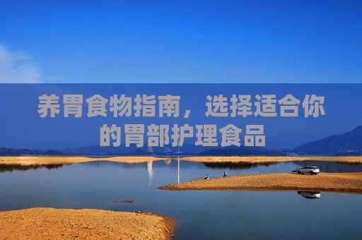 养胃食物指南，选择适合你的胃部护理食品