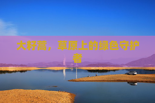 大籽蒿，草原上的绿色守护者