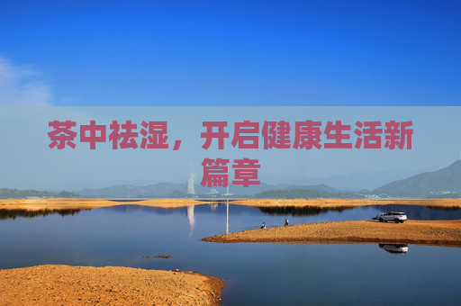 茶中祛湿，开启健康生活新篇章