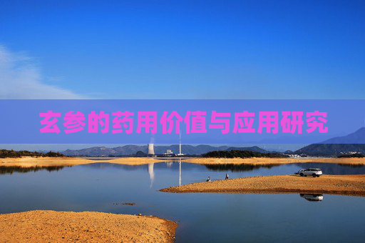 玄参的药用价值与应用研究