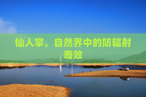 仙人掌,自然界中的防辐射奇效 仙人掌,自然界中的防辐射奇效