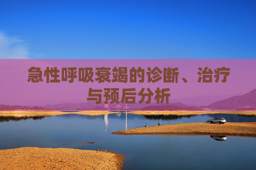 急性呼吸衰竭的诊断、治疗与预后分析 急性呼吸衰竭的诊断、治疗与预后分析
