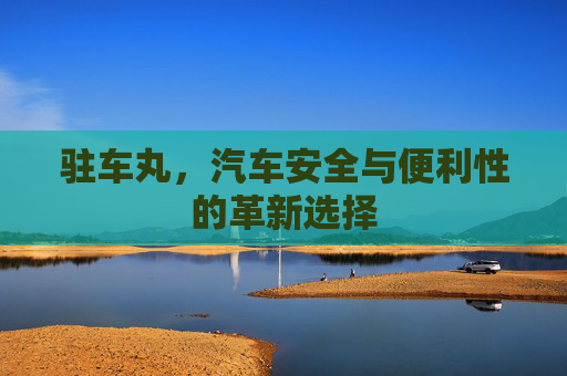 驻车丸,汽车安全与便利性的革新选择 驻车丸,汽车安全与便利性的革新选择