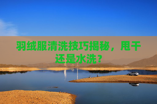 羽绒服清洗技巧揭秘,甩干还是水洗? 羽绒服清洗技巧揭秘,甩干还是水洗?