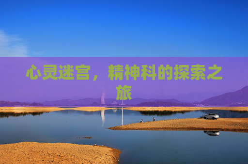 心灵迷宫，精神科的探索之旅