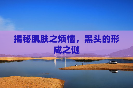 揭秘肌肤之烦恼，黑头的形成之谜