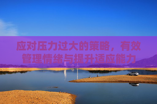 应对压力过大的策略，有效管理情绪与提升适应能力