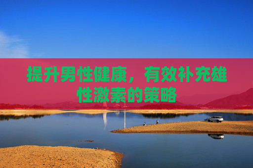 提升男性健康，有效补充雄性激素的策略