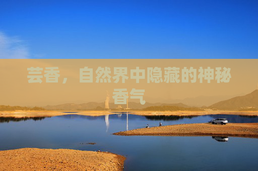 芸香，自然界中隐藏的神秘香气