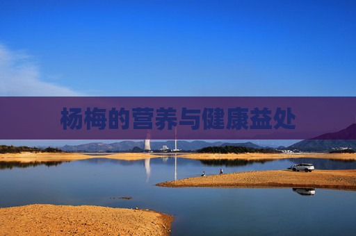 杨梅的营养与健康益处