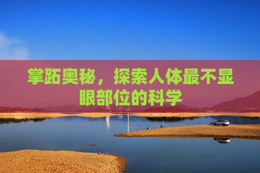 掌跖奥秘，探索人体最不显眼部位的科学