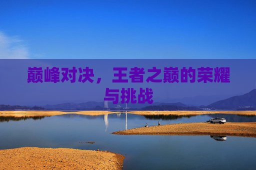 巅峰对决，王者之巅的荣耀与挑战