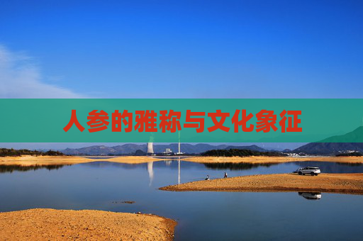 人参的雅称与文化象征