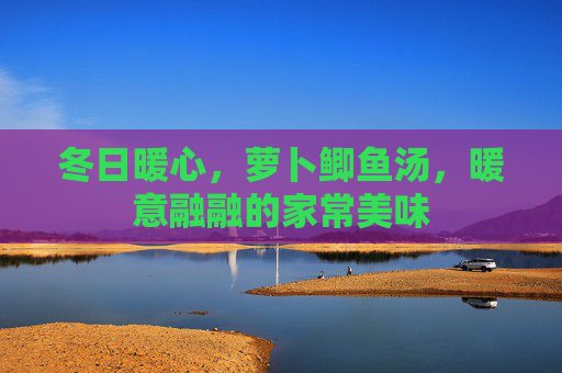 冬日暖心，萝卜鲫鱼汤，暖意融融的家常美味