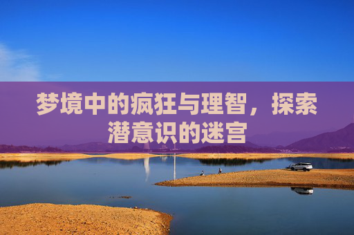 梦境中的疯狂与理智，探索潜意识的迷宫