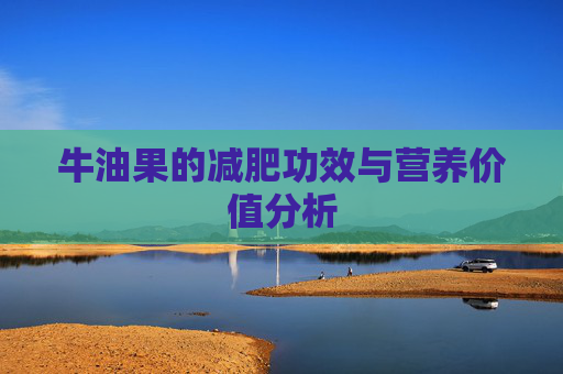 牛油果的减肥功效与营养价值分析