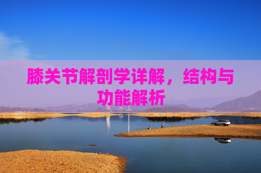 膝关节解剖学详解，结构与功能解析