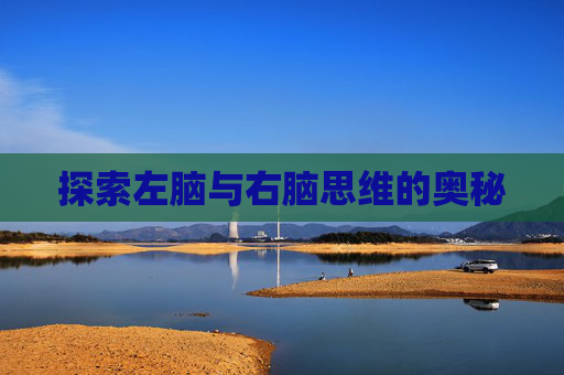 探索左脑与右脑思维的奥秘