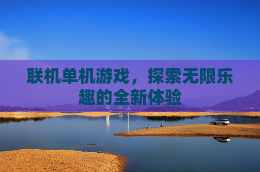 联机单机游戏，探索无限乐趣的全新体验