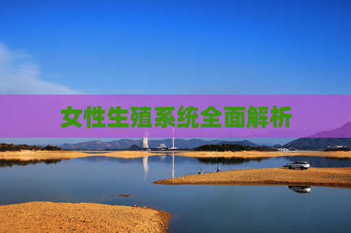 女性生殖系统全面解析