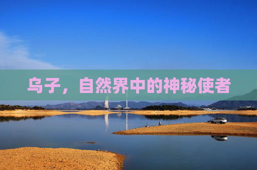 乌子，自然界中的神秘使者