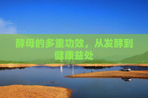 酵母的多重功效，从发酵到健康益处