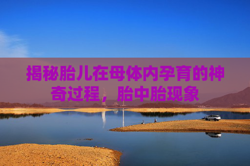 揭秘胎儿在母体内孕育的神奇过程，胎中胎现象