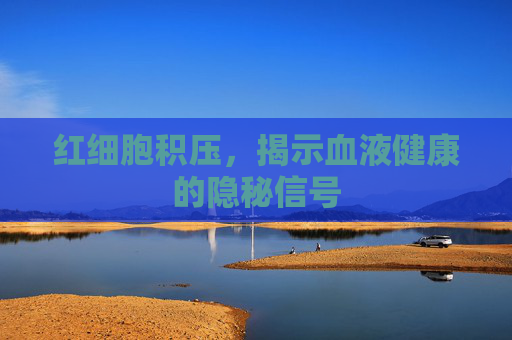 红细胞积压，揭示血液健康的隐秘信号