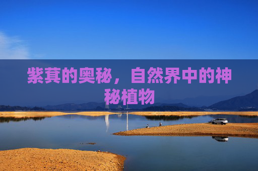 紫萁的奥秘，自然界中的神秘植物