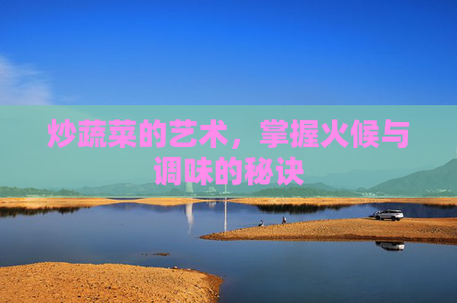 炒蔬菜的艺术，掌握火候与调味的秘诀
