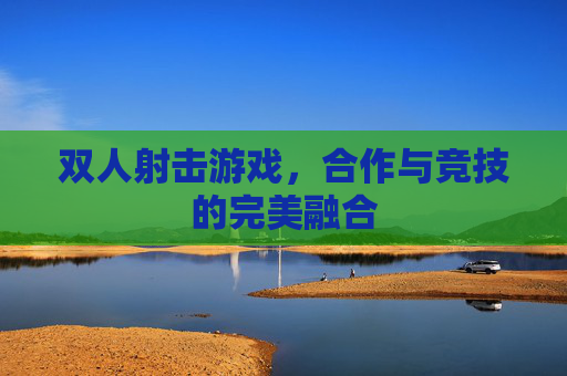 双人射击游戏，合作与竞技的完美融合