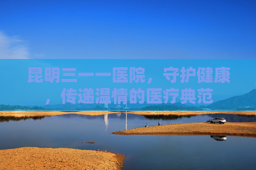 昆明三一一医院，守护健康，传递温情的医疗典范