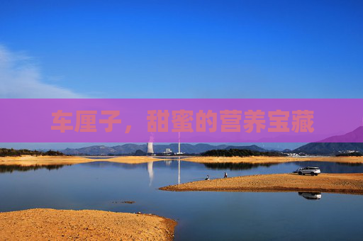 车厘子，甜蜜的营养宝藏