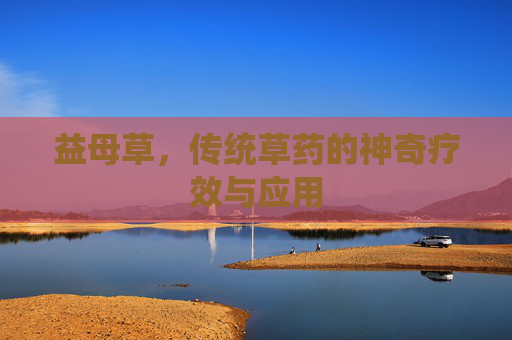 益母草，传统草药的神奇疗效与应用