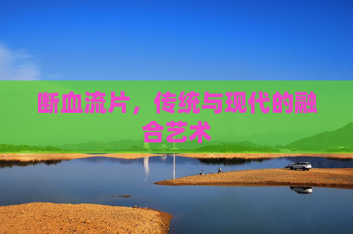 断血流片,传统与现代的融合艺术 断血流片,传统与现代的融合艺术