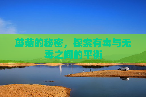 蘑菇的秘密,探索有毒与无毒之间的平衡 蘑菇的秘密,探索有毒与无毒之间的平衡