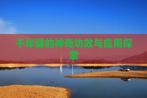 千年健的神奇功效与应用探索