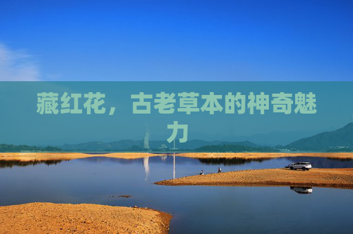藏红花，古老草本的神奇魅力