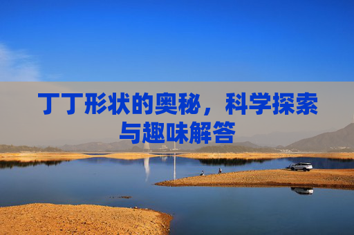 丁丁形状的奥秘，科学探索与趣味解答