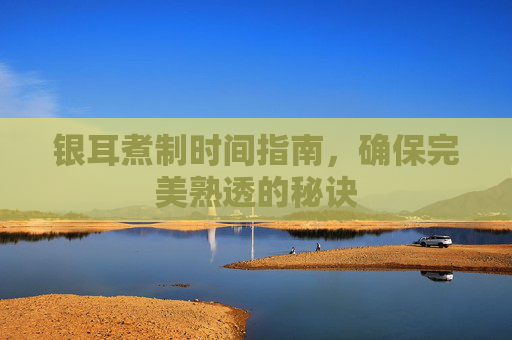 银耳煮制时间指南，确保完美熟透的秘诀