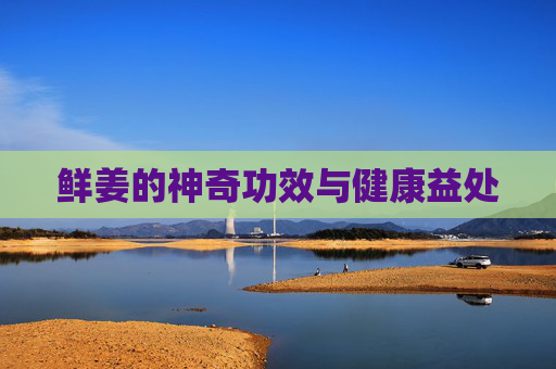 鲜姜的神奇功效与健康益处