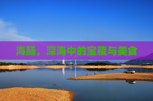 海肠,深海中的宝藏与美食 海肠,深海中的宝藏与美食