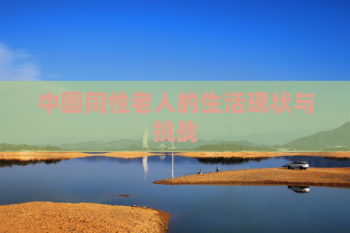 中国同性老人的生活现状与挑战