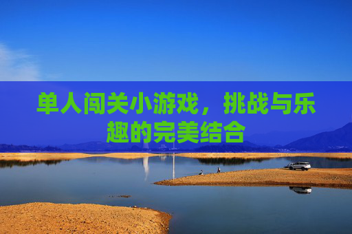 单人闯关小游戏，挑战与乐趣的完美结合