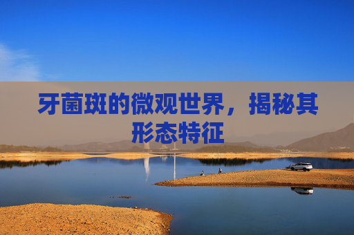 牙菌斑的微观世界，揭秘其形态特征
