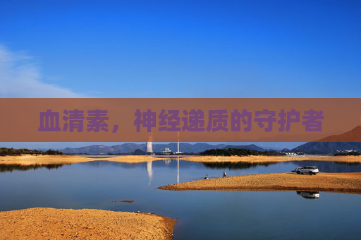 血清素，神经递质的守护者