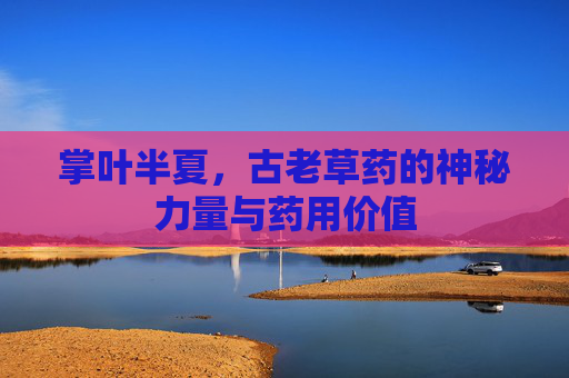 掌叶半夏，古老草药的神秘力量与药用价值