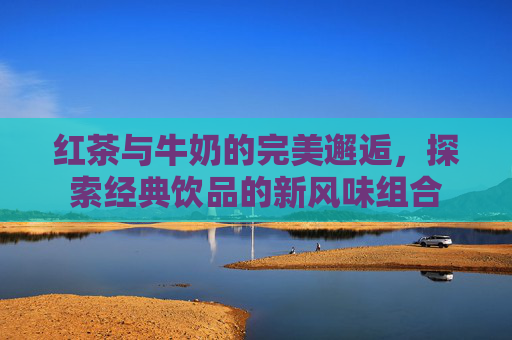 红茶与牛奶的完美邂逅,探索经典饮品的新风味组合 红茶与牛奶的完美邂逅,探索经典饮品的新风味组合